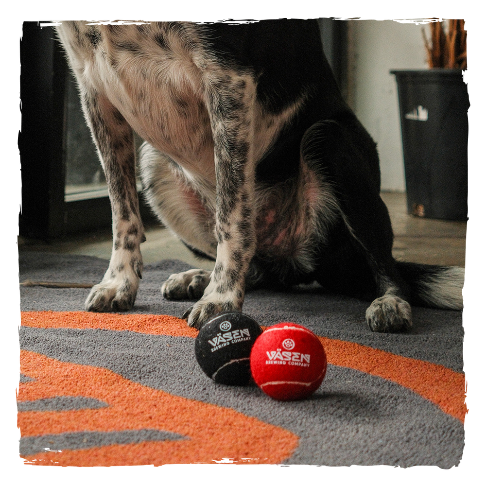 Dog Toy - Tennis Ball